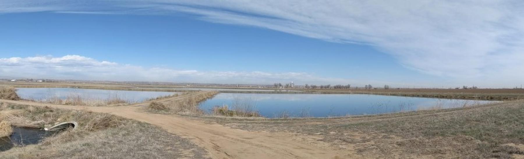 The Haren Recharge Pond near Gilcrest in Weld County.